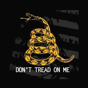 Meet your Posher, Joey